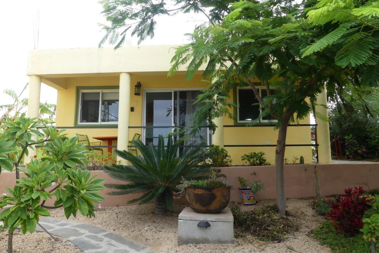 Casa Flores Casitas Todos Santos Exterior photo