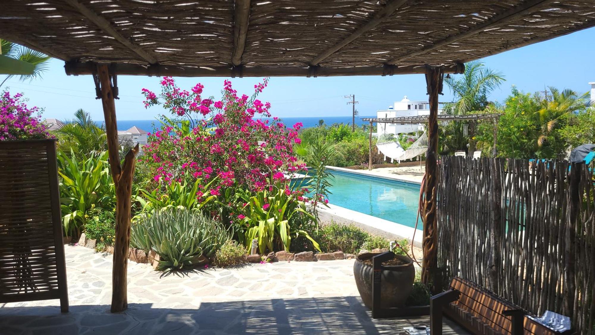 Casa Flores Casitas Todos Santos Exterior photo